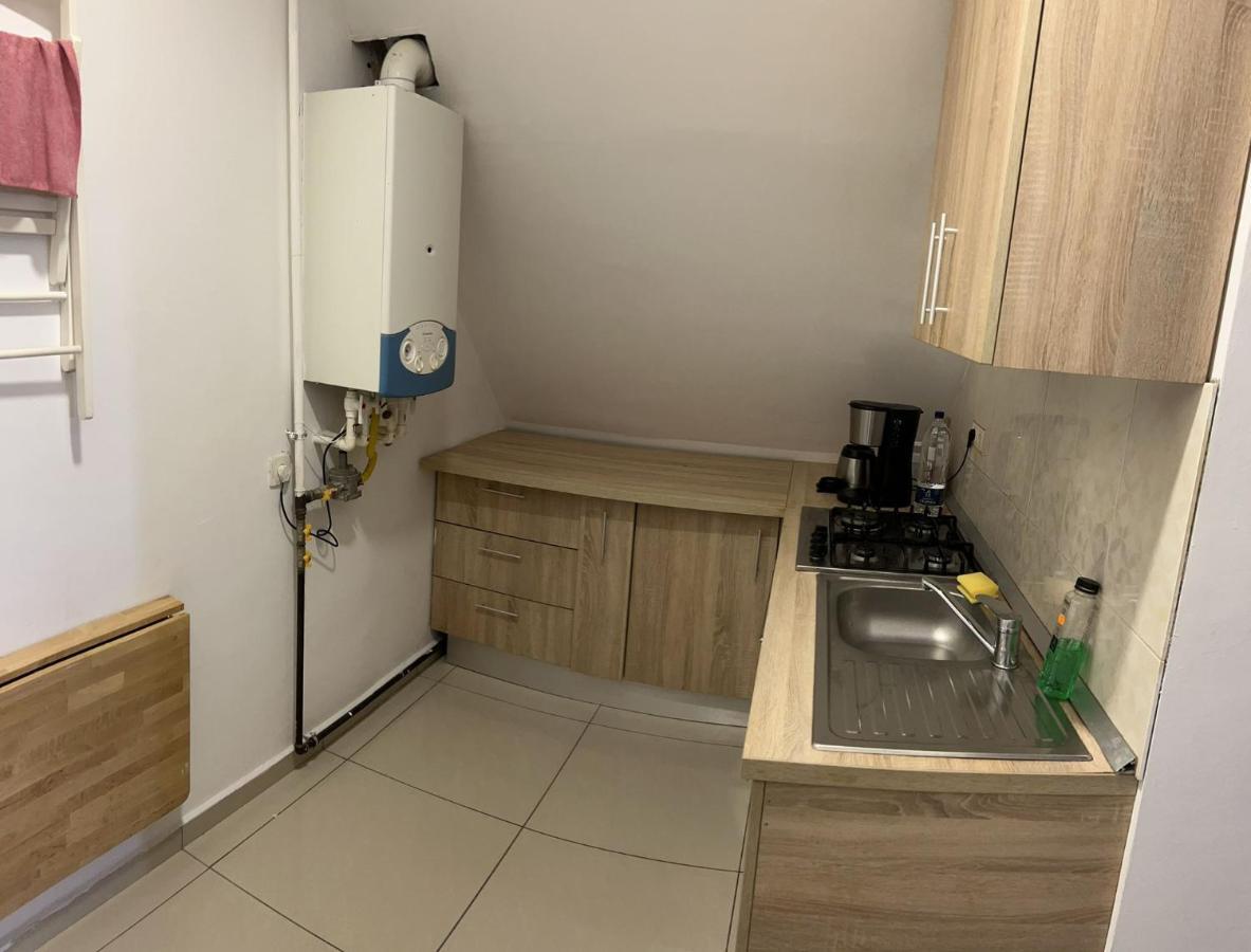 Chez Ana Apartment Otopeni Bagian luar foto