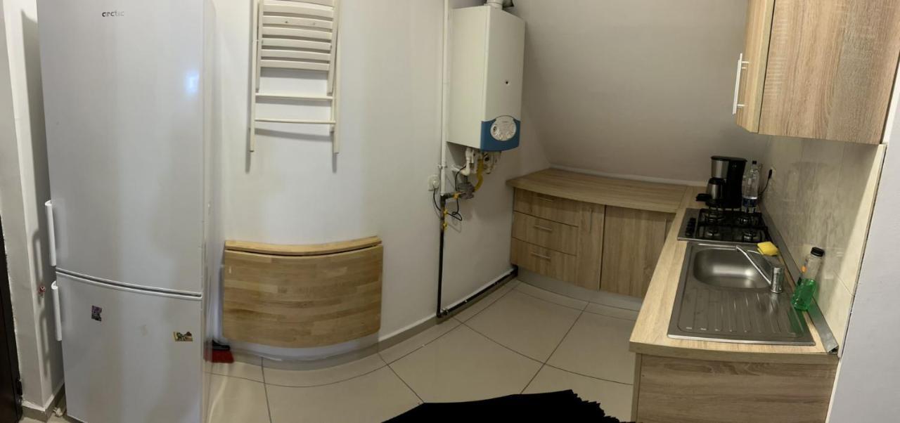 Chez Ana Apartment Otopeni Bagian luar foto